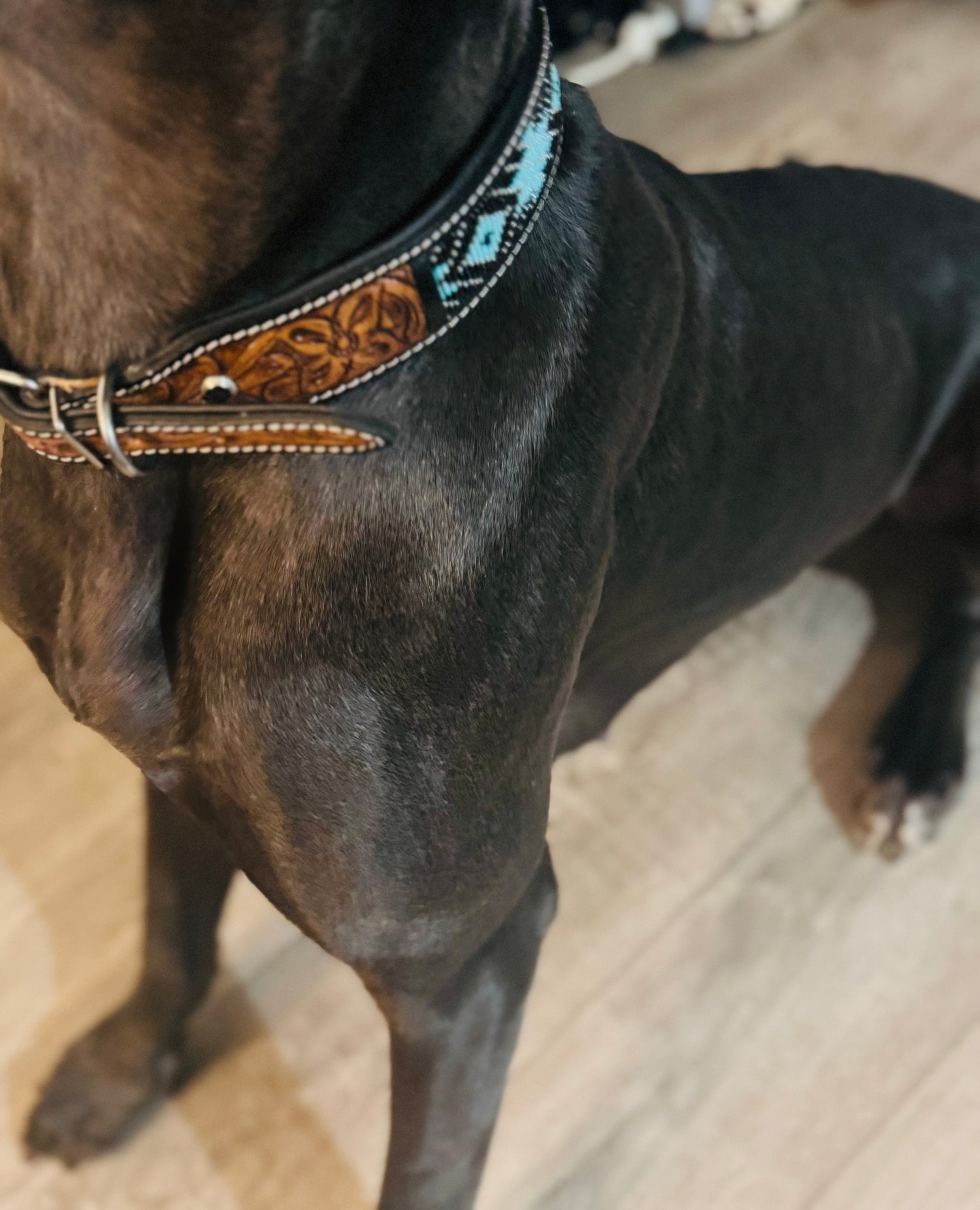 Leather waist Belts and Pup collars